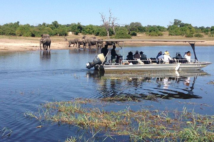 Chobe Full Day Trip