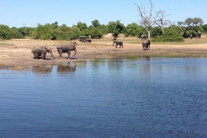 Chobe Full Day Trip