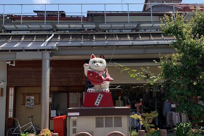 高山：江戸時代旧市街散策ツアー（45分）