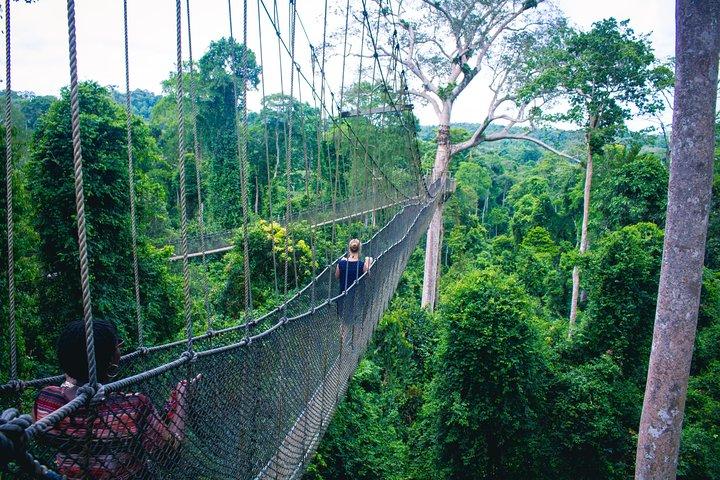 Chauffeur: Taman Negara nach Singapore Car Transfer