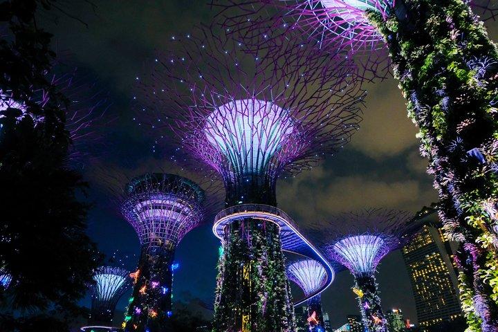 Chauffeur: Taman Negara nach Singapore Car Transfer