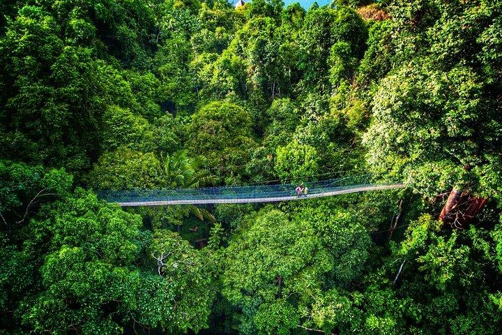 Chauffeur: Taman Negara nach Singapore Van Transfer
