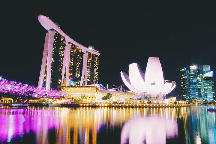 Chauffeur: Taman Negara nach Singapore Van Transfer