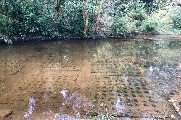 Phnom Kulen Tour : Cascata, 1000 Lingas e Buddha sdraiato