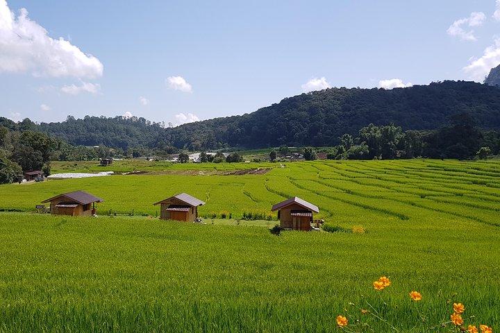 Chiang Mai: Fantastisk Doi Inthanon National Park Tour & 2 - Hr Trek