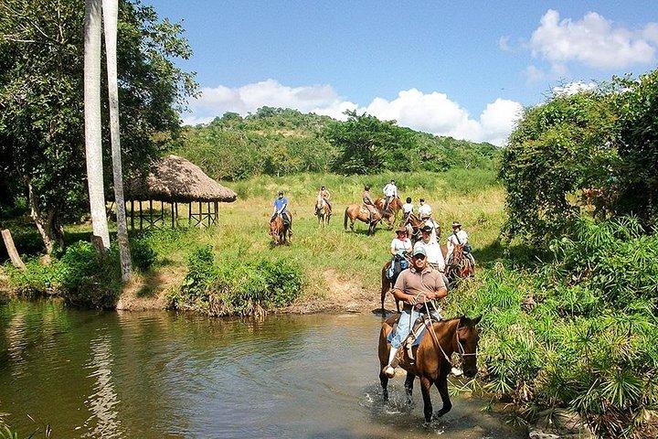Bayahíbe Equitazione & River swimmig