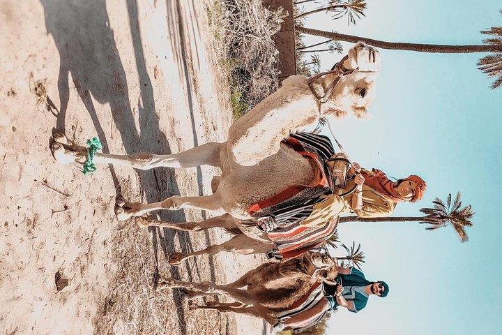 Passeio de camelo em Marrakech