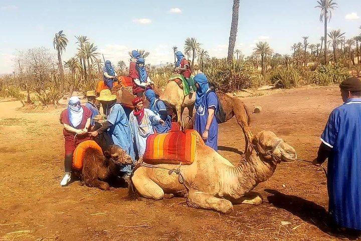 Passeio de camelo em Marrakech