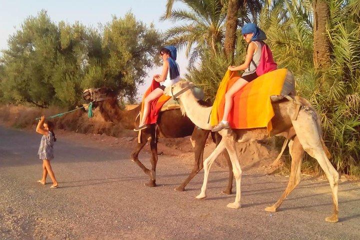 Passeio de camelo em Marrakech