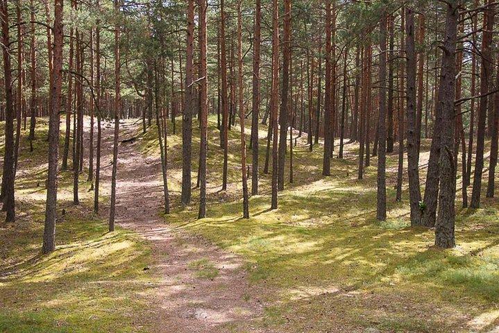 Jurmala Hidden Wonders Tour