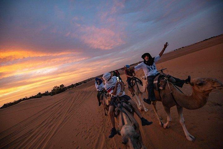 Casablanca : Hire a car with driver and licensed guide