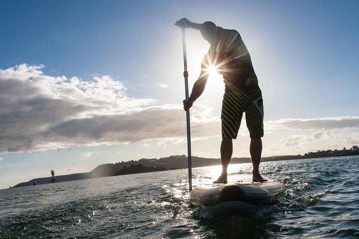 Paddle Surf SUP à Anfi Beach