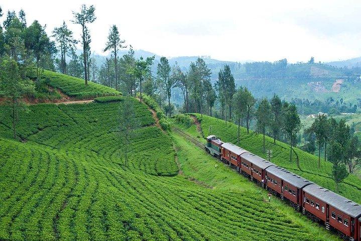 Szenische Zugfahrt Ella zum Nationalpark Horton Plains und zum Tropfen Nuwara Eliya