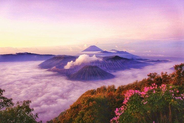 Excursión al puerto de Malang Bromo Ijen Ketapang (2 días)