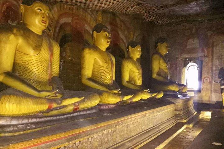 5 dages privat turné Sri Lanka