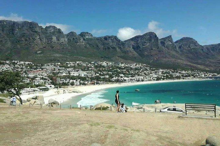 Penguins & Peninsula Tour, See it, Live it, Do it.. Experience it