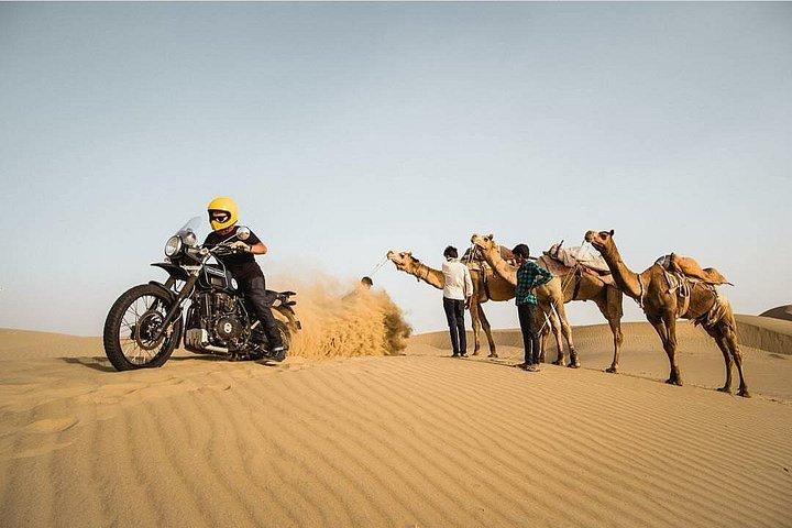 Thar Desertの星空の下で素晴らしい一夜の体験