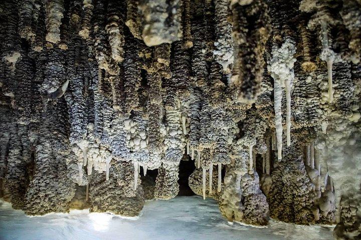 Hidden Cenote exploration in Playa del Carmen