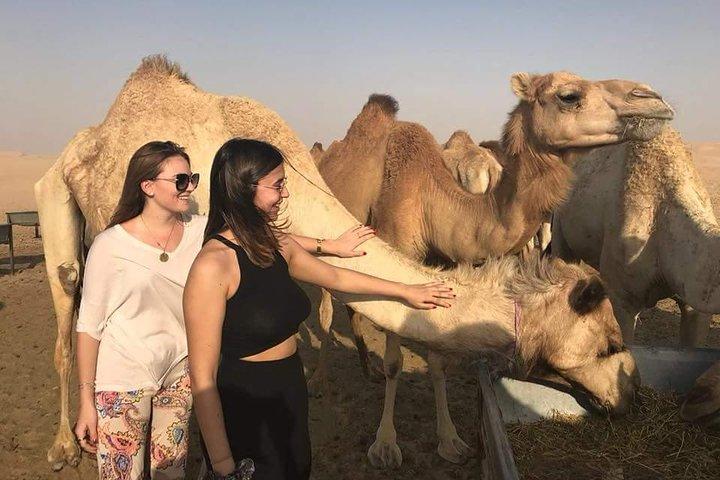 Tours privés en VTT / quad à Abu Dhabi