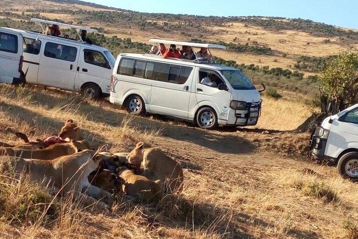 Pacchetti Safari Safari di 3 giorni Masai Mara