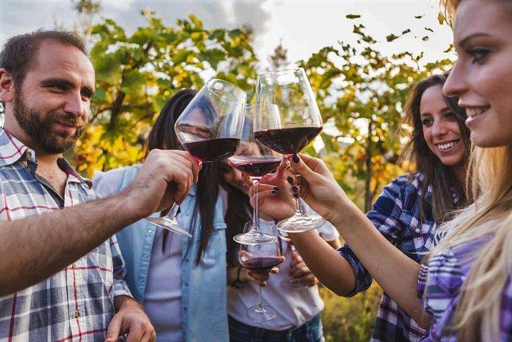 Tour de vinho e fazenda de Alpaca em Shamakhy