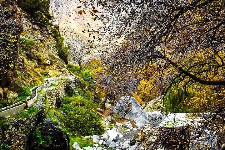 Valle e giardino