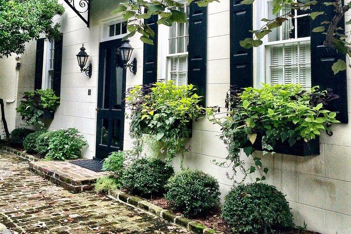Tour guidato a piedi di storia, case e architettura di Charleston