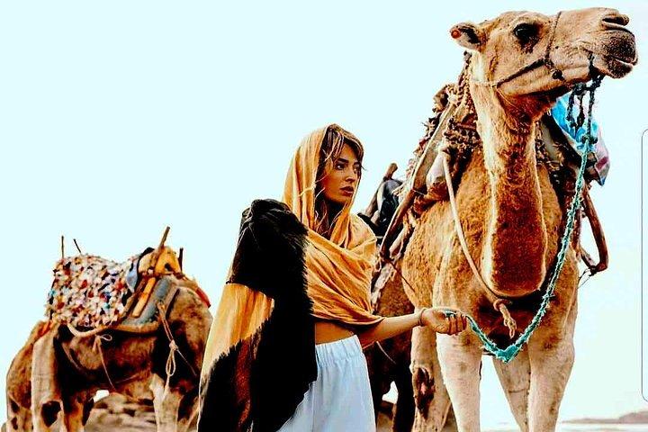 Marrakech: Agafay desert, Magical dinner & sunset and camel ride