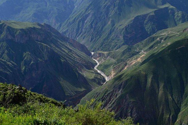 Tour Colca Kampagnepris for heldagen