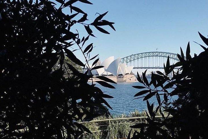 Sydney-ikoner og Bondi halvdag privat tur
