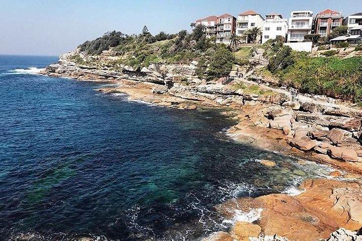 Sydney-ikoner og Bondi halvdag privat tur
