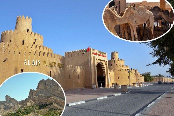ドバイからのAl Ain City Tour（キッズフレンドリー）