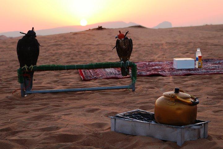 Abu Dhabi Sunriser Desert Safari