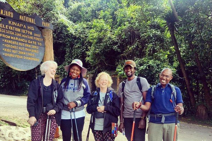 Kilimanjaro dagwandeling.