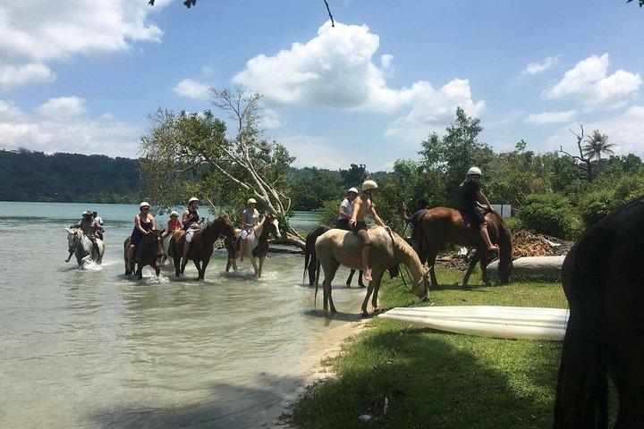 Paardrijden in Port Vila met Yumi Tours