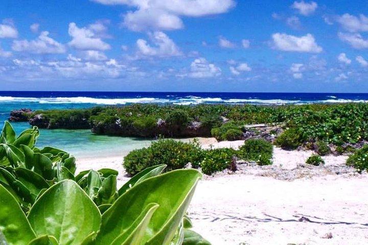 Paardrijden in Port Vila met Yumi Tours