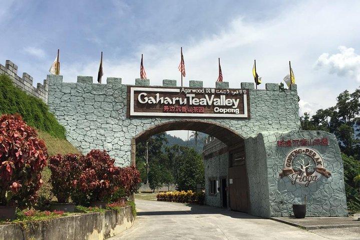 City Tour Ipoh saindo de Kuala Lumpur