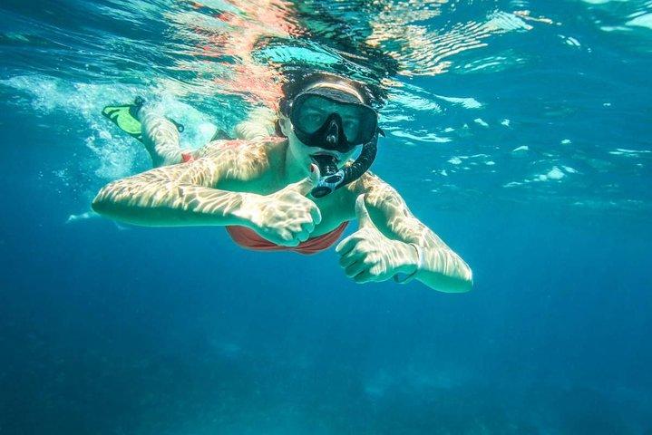 サムイ島発高速船で行くタオ島とナンユアン島日帰り旅行