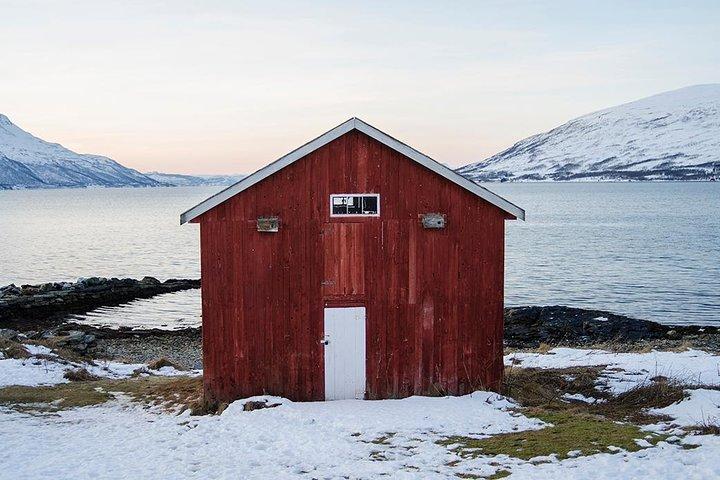 Vinter Fjord Road Trip med vandrende ugle