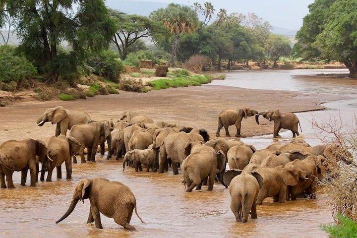 8 jours d'aventure en camping au lac Turkana