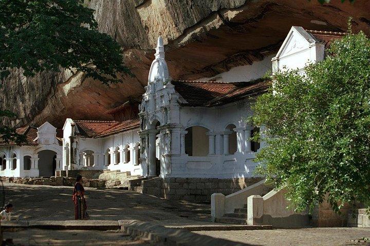 Tour di 2 giorni al safari Sigiriya e Minneriya Da Colombo