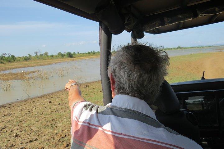 Majestueuze beestsafari, het oudste Elephant Park-Udawalawe National Park van Sri Lanka