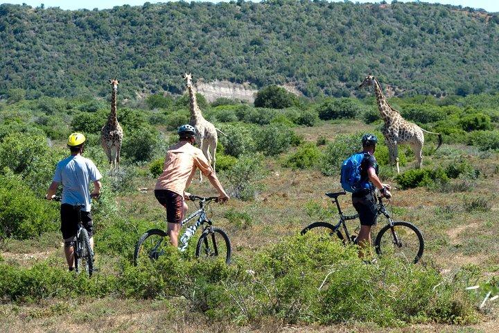 7 giorni in Kenya Tour Adventure