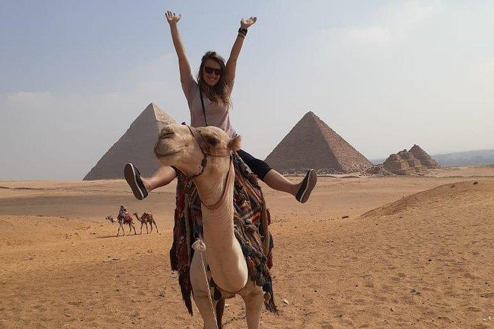 Privat hele dagen Cairo Tour inklusive Giza, Solar Boat Museum, Felucca og Nile Dinner Cruise