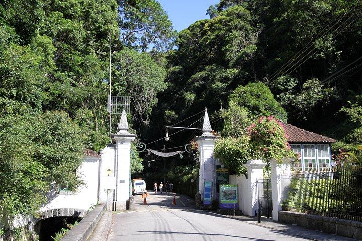 Tijuca Forest + Botanisk Have + Lage Park - af Alan Denis