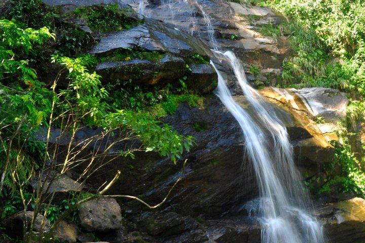 Foresta di Tijuca + Giardino Botanico + Parco Lage - di Alan Denis