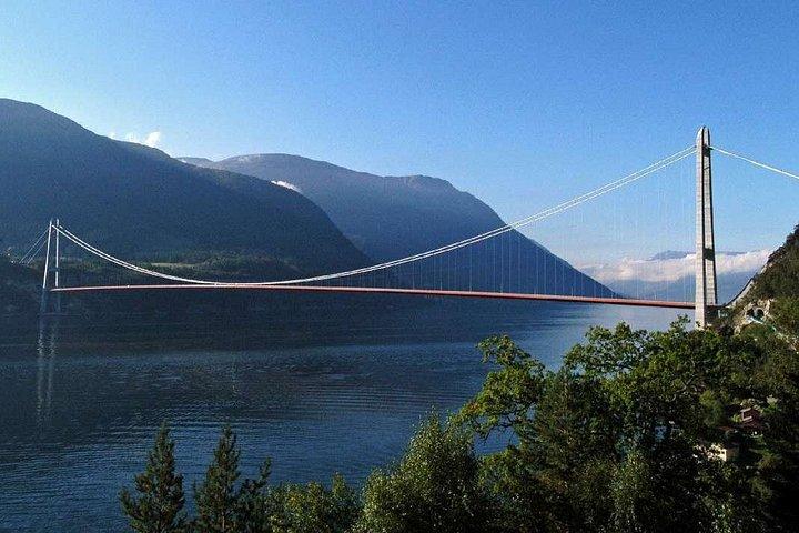 プライベートツアー - ハーダンゲルフィヨルドと4つの大滝
