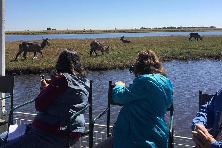 チョベ半日旅行