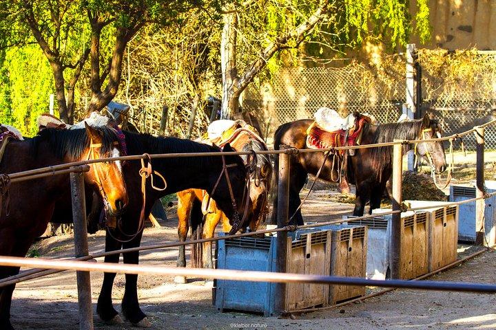 Cabalgata al atardecer
