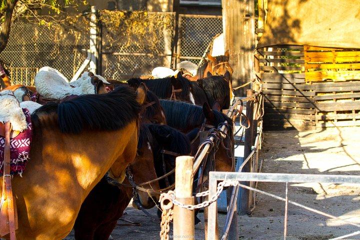 Cabalgata al atardecer